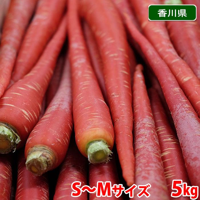 香川県産 金時人参 秀品 S〜Mサイズ 5kg : 生鮮卸売市場 - 通販