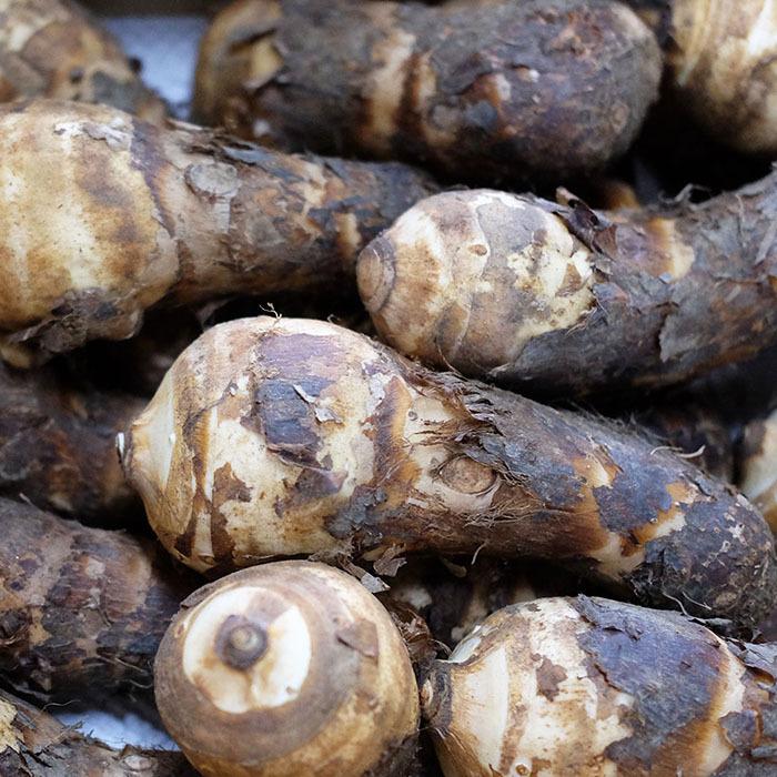 静岡県産 海老芋（えびいも） A品 Mサイズ 約5kg : 生鮮卸売市場