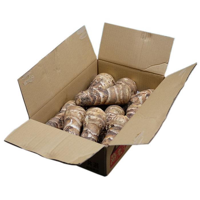 静岡県産 海老芋(えびいも) A品 2Lサイズ (10本前後入) 約 静岡県産 海老芋(えびいも) A品 2Lサイズ (10本前後入) 約