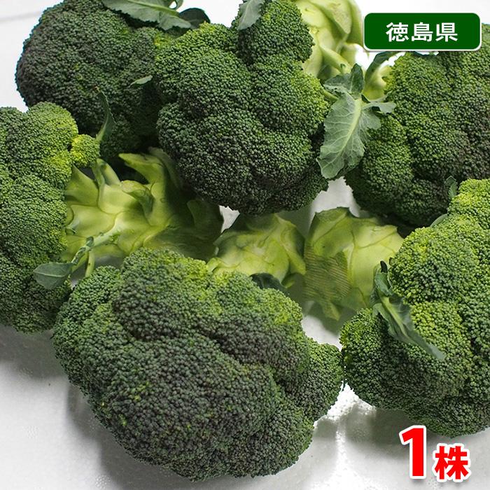 徳島県産 ブロッコリー 約15キロ のび太正直屋商店様専用 【公式通販】