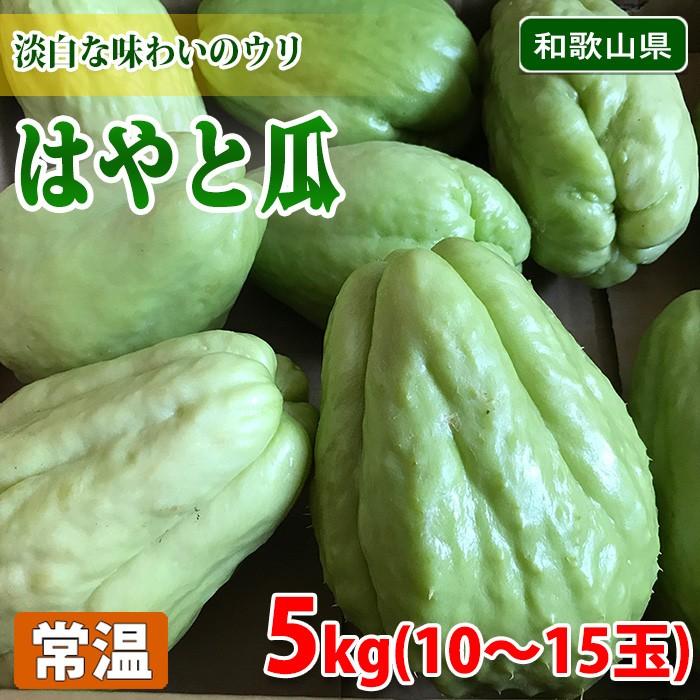 和歌山県産 はやと瓜 ハヤトウリ 隼人瓜 5kg 10 15玉入 生鮮卸売市場 通販 Yahoo ショッピング