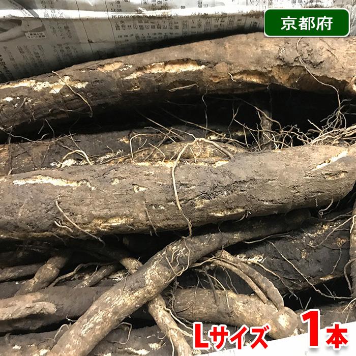 堀川ごぼう‼️10kg‼️掘り立て新鮮直送‼️ 堀川ごぼうのご紹介 | 【公式】瓢斗（ひょうと）｜ 京都・東京で会食