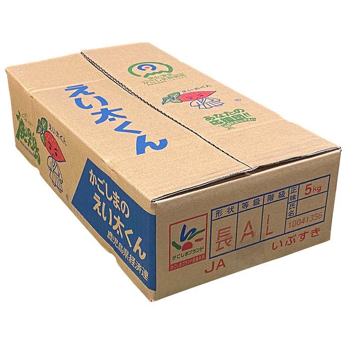鹿児島県産（JAいぶすき）さつまいも 紅はるか えい太くん A等級 L