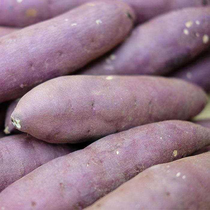 サツマイモ 紅はるか Mサイズ 生サツマイモ 5kg - 茨城県ひたちなか市・東海