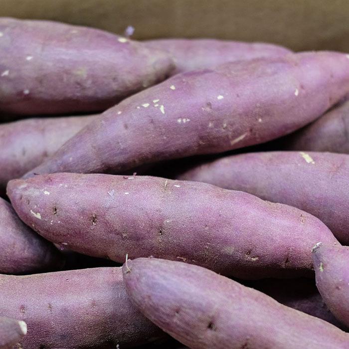 サツマイモ 楽天市場】高知県産 JA高知県 土佐紅 A級品MからLサイズ2.5キロ