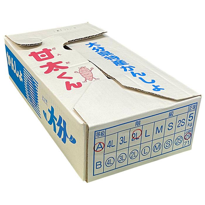 大分県産（JAおおいた）さつまいも 紅はるか 甘太くん A等級 2Lサイズ