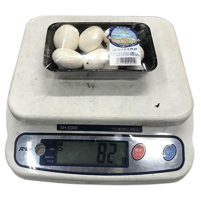 【バラ売り可】マッシュルームコーヒー　10袋入り×8箱 バラ売り可】マッシュルームコーヒー 10袋入り×8箱 バラ売り可