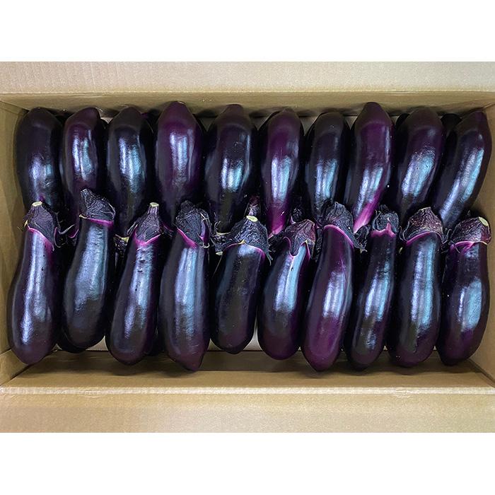 大阪府産 大阪なす 秀品・M〜Lサイズ 5kg（約40〜50本入り