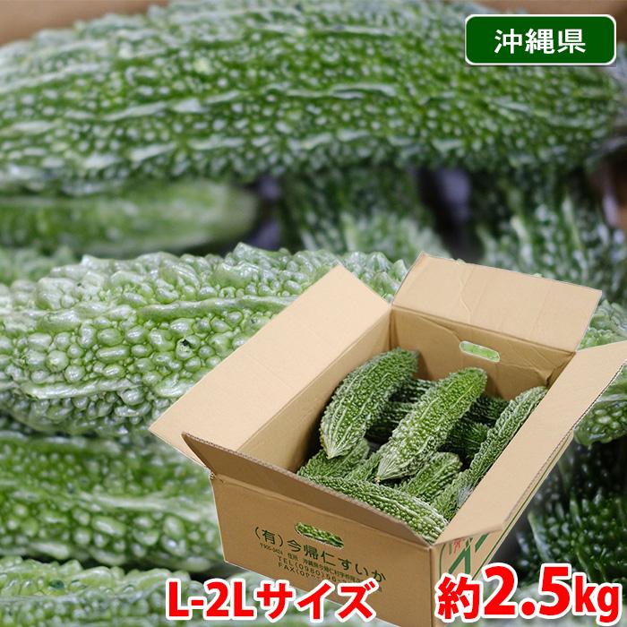 沖縄県産 ゴーヤー （にがうり） 秀品 L〜2Lサイズ 約2.5kg （箱） 苦瓜 ゴーヤ : 生鮮卸売市場 - 通販 - Yahoo!ショッピング
