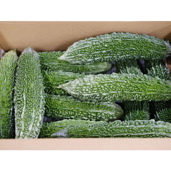 沖縄県産 ゴーヤー （にがうり） 秀品 L〜2Lサイズ 約2.5kg （箱） 苦瓜 ゴーヤ : 生鮮卸売市場 - 通販 - Yahoo!ショッピング