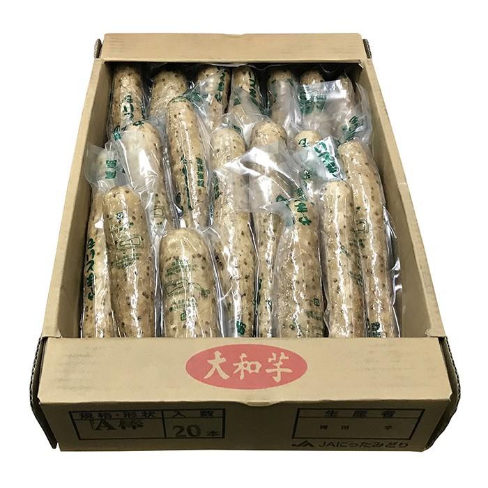 群馬県産 大和芋（やまといも） A棒 約200g×20パック入り／箱