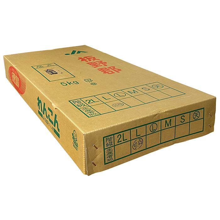 徳島県産 レンコン 秀品 M〜Lサイズ 5kg （箱） 蓮根 国産 れんこん