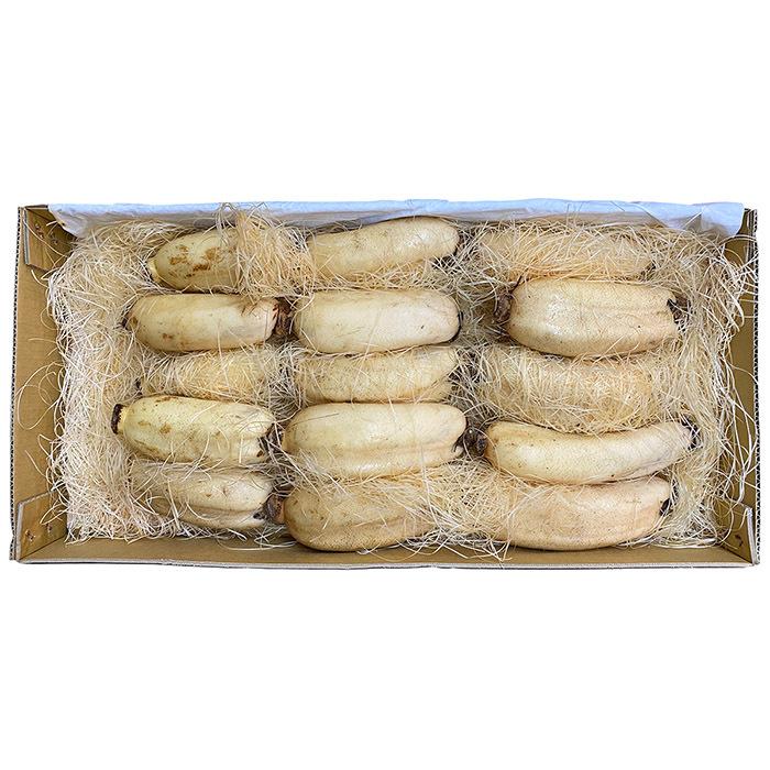 徳島県産 レンコン 秀品 M〜Lサイズ 5kg （箱） 蓮根 国産 れんこん