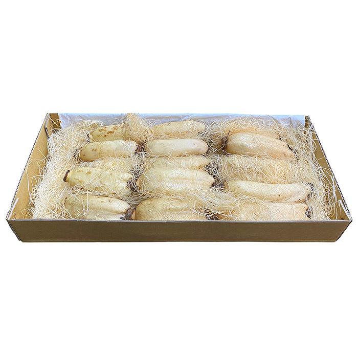 徳島県産 レンコン 秀品 M〜Lサイズ 5kg （箱） 蓮根 国産 れんこん