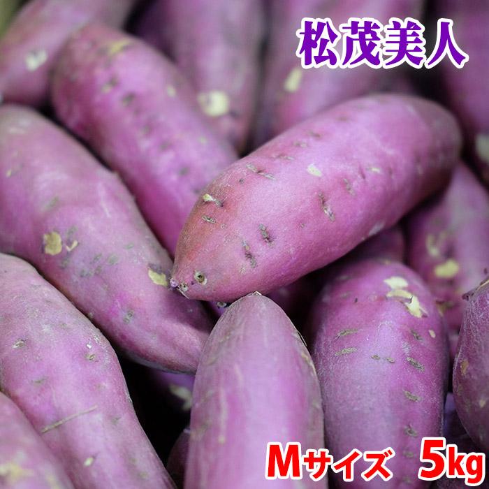 徳島県産（JA大津松茂）さつまいも なると金時 「松茂美人」 秀品 M