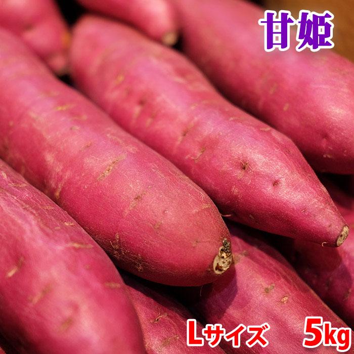 徳島県産（JA徳島市・川内）さつまいも なると金時 「甘姫」 秀品 L
