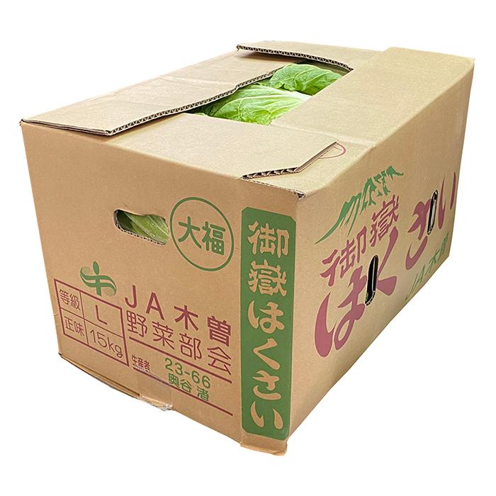 長野県産他 白菜 L〜2Lサイズ 6玉入 約15kg （箱） : 生鮮卸売市場