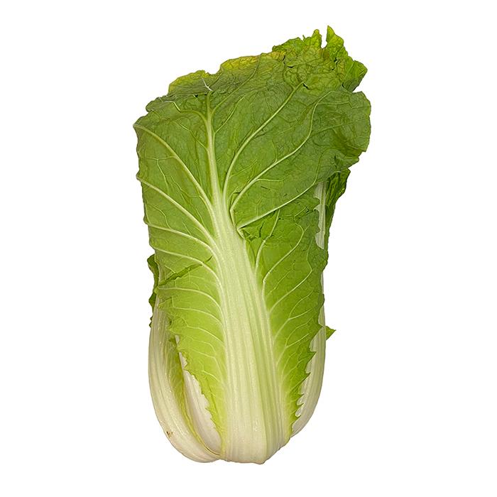 長野県産他 白菜 L〜2Lサイズ 6玉入 約15kg （箱） : 生鮮卸売市場