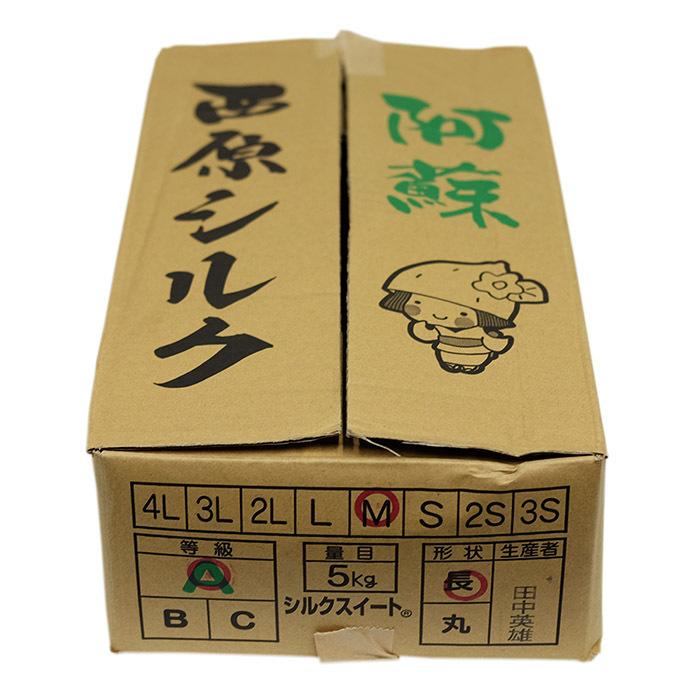 熊本県産（JA阿蘇西原）さつまいも シルクスイート A等級 Mサイズ 約5kg（26〜28本前後入）箱入り :21710244-2:生鮮卸売