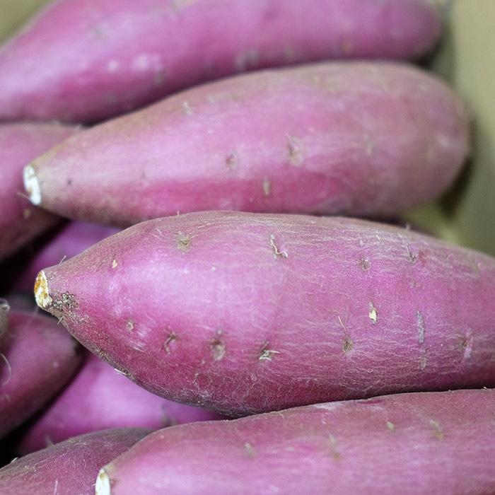 熊本県産（JA阿蘇西原）さつまいも シルクスイート A等級 Lサイズ 約