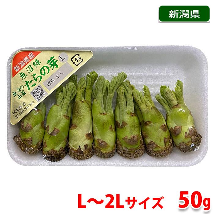 新潟県産 タラの芽 L〜2Lサイズ 50g（約5本〜8本） : 生鮮卸売市場