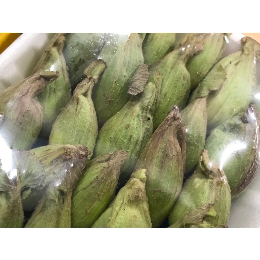 徳島県産他 蕗の薹 (ふきのとう) 100g (パック) 国産 山菜 徳島県産他 蕗の薹 (ふきのとう) 100g (パック) 国産 山菜