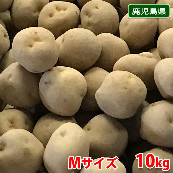 鹿児島県産 徳之島じゃがいも A等級 Mサイズ 10kg : 生鮮卸売 鹿児島県産 徳之島じゃがいも A等級 Mサイズ 10kg : 生鮮卸売
