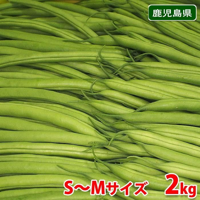 鹿児島県産いんげん10キロ 鹿児島県産 いんげん S〜Mサイズ 約2kg（箱） : 生鮮卸売市場 - 通販