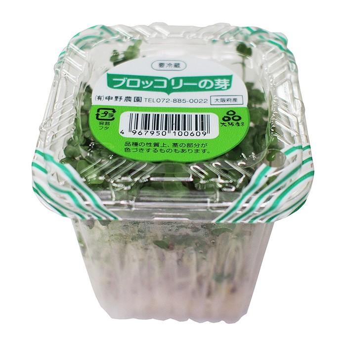 大阪府産 ブロッコリーの芽 10パック入り （箱） ブロッコリー 