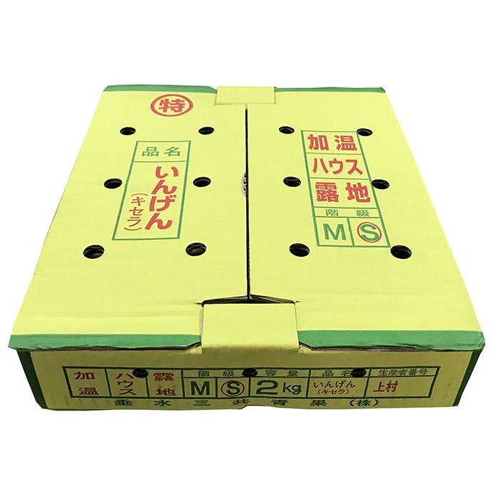鹿児島県産 いんげん S〜Mサイズ 約2kg（箱） : 生鮮卸売市場