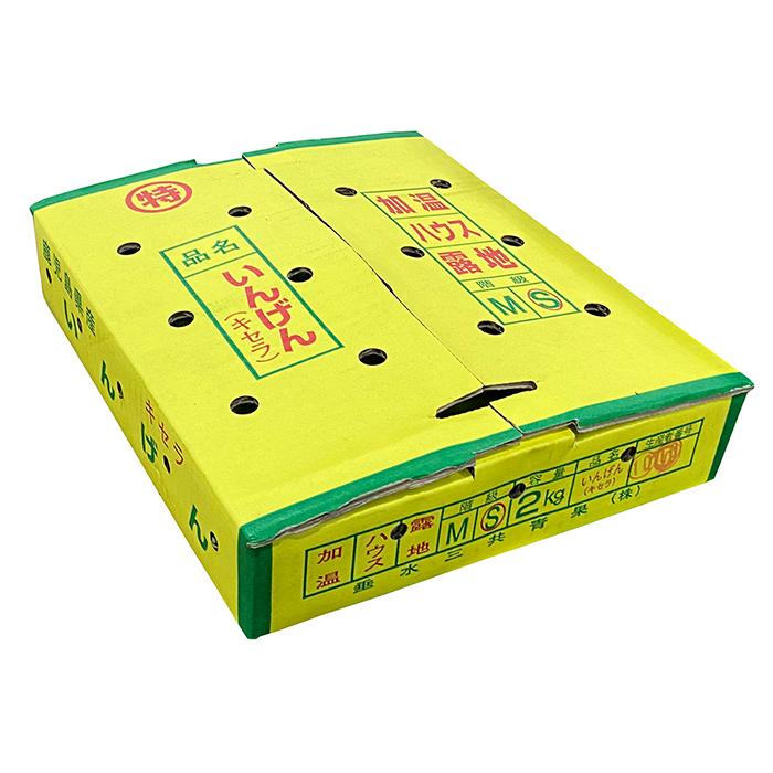鹿児島県産 いんげん S〜Mサイズ 約2kg（箱） : 生鮮卸売市場 - 通販