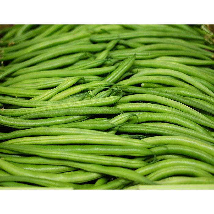 鹿児島県産 いんげん S〜Mサイズ 約2kg（箱） : 生鮮卸売市場 - 通販