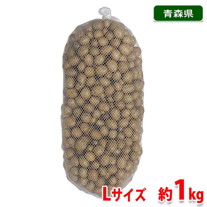 青森県産 むかご A等級 Lサイズ 約1kg（ネット入り） : 生鮮卸売市場