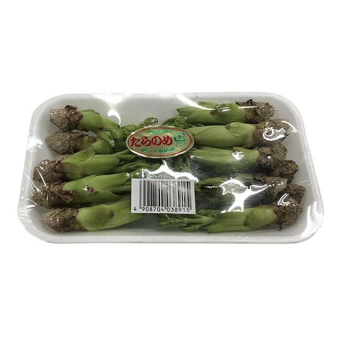 お徳用　タラの芽　新潟県産　２００g×１０パック　まとめ買い用 お徳用 タラの芽 新潟県産 200g×10パックまとめ買い用 お徳用