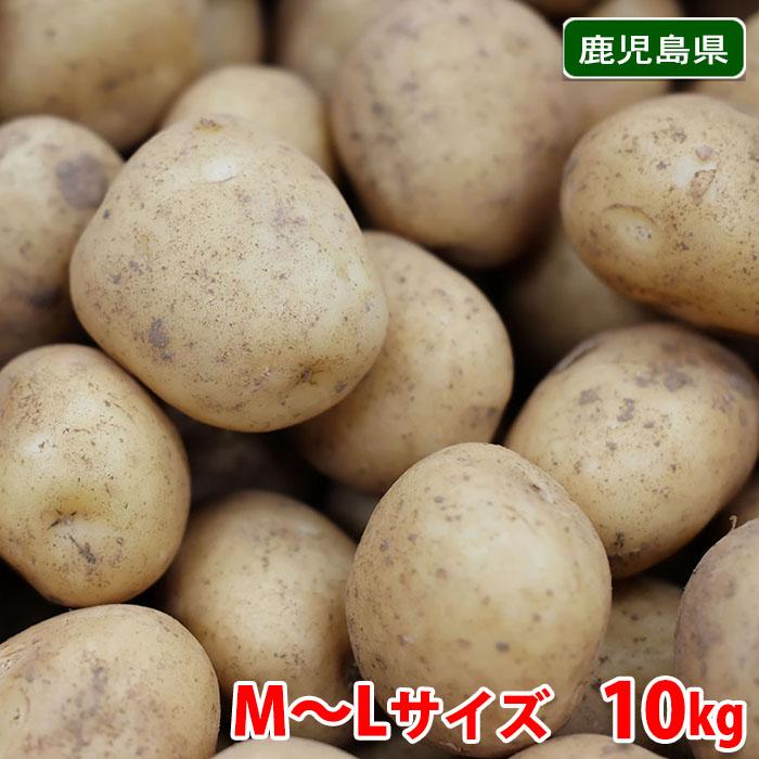 maki...ページ　新じゃがいも20キロ 徳之島産① 5kg-top.jpg