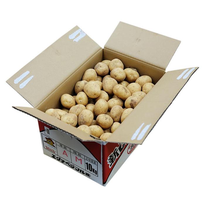 鹿児島県産 赤土 新ばれいしょ じゃがいも A等級 M〜Lサイズ 10kg（箱