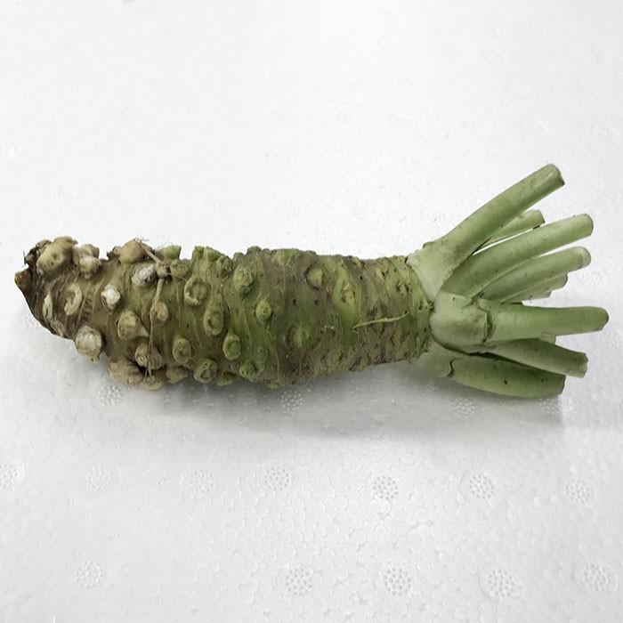 1kg 茎付きわさびセット 安曇野市産 本生 沢わさび 生わさび 山葵 ワサビ 楽天市場】安曇野味付けあらぎりわさび150g お得な5本