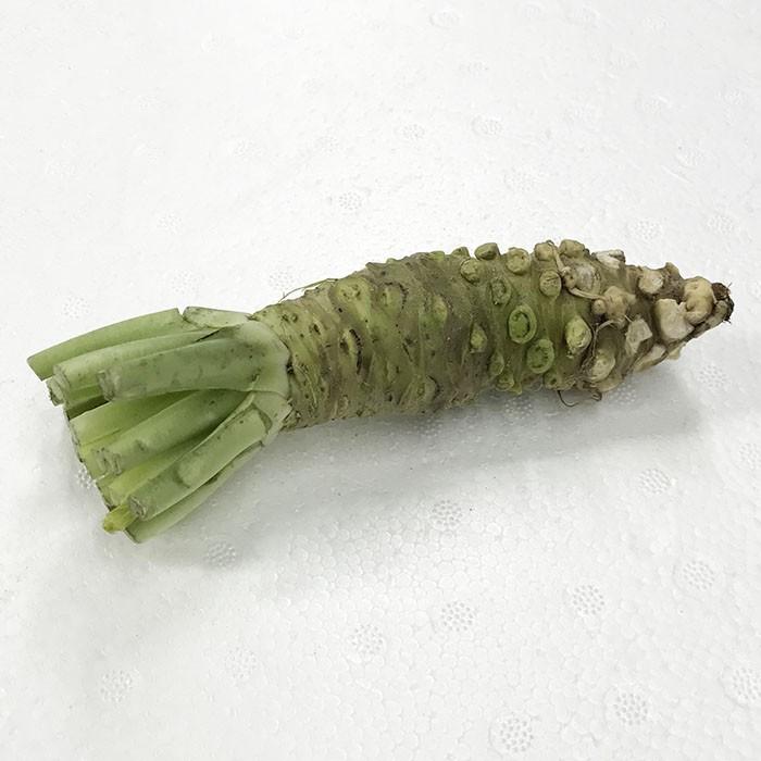 to.k様へ　生わさび大きめ　１㌔分 Amazon | カネク 生わさび 505 1本（ 750g ） 業務用 冷蔵