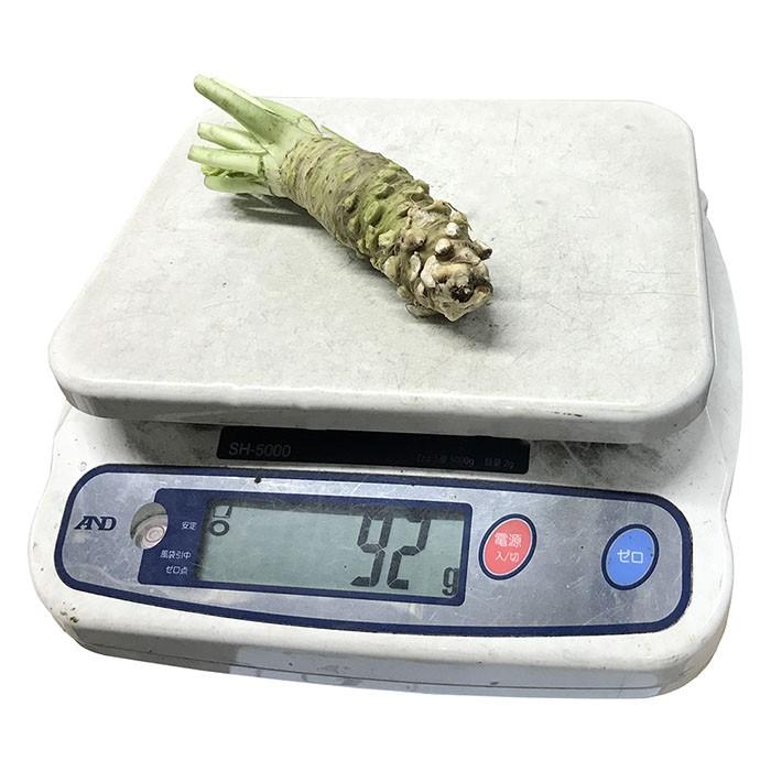 to.k様へ　生わさび大きめ　１㌔分 Amazon | カネク 生わさび 505 1本（ 750g ） 業務用 冷蔵