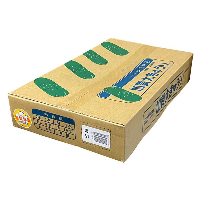 石川県産 加賀太きゅうり M〜Lサイズ 8〜9本入（箱） : 生鮮卸売市場