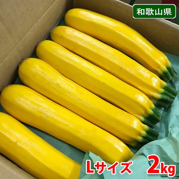和歌山県産 黄色ズッキーニ Lサイズ 2kg 2 生鮮卸売市場 通販 Yahoo ショッピング
