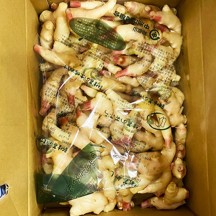 和歌山県産 新しょうが 秀品 Mサイズ 4kg （箱） 国産 新生姜 生姜