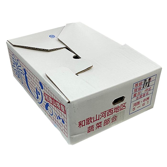 和歌山県産 新しょうが 秀品 Mサイズ 4kg （箱） 国産 新生姜 生姜