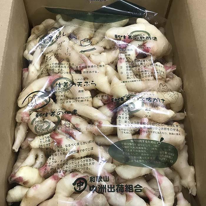 和歌山県産 新しょうが 秀品 Lサイズ 4kg （箱） 国産 新生姜