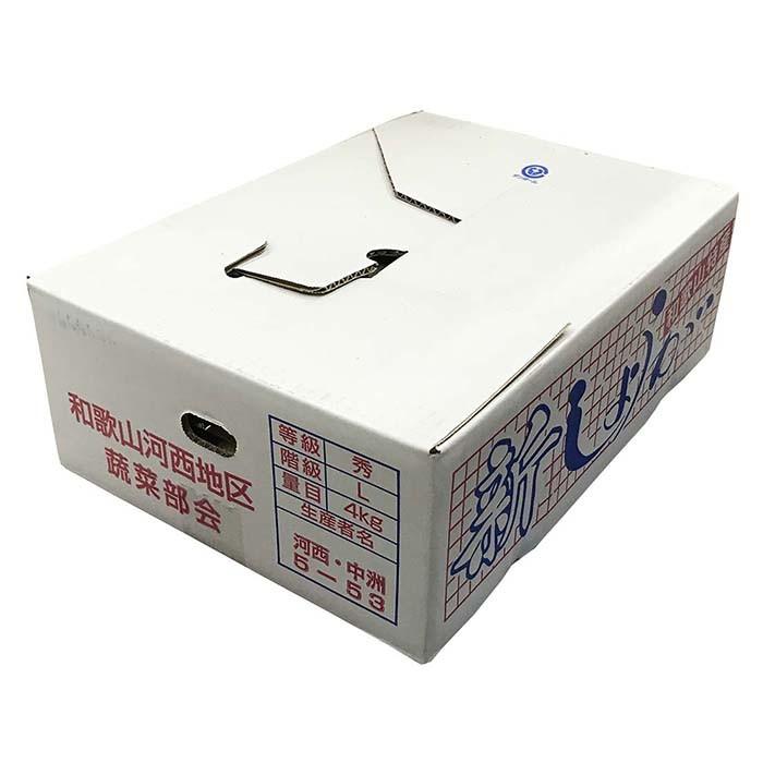 和歌山県産 新しょうが 秀品 Lサイズ 4kg （箱） 国産 新生姜 生姜