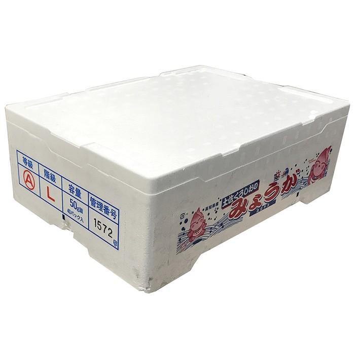 【sasa様】みょうが☆茗荷☆４００g☆長崎県産 楽天市場】みょうが 1kgの通販