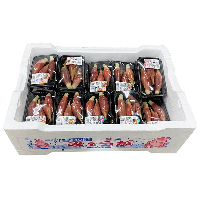高知県産 みょうが 50gパック×40個入り（箱） : 生鮮卸売市場