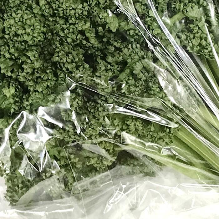 静岡県産 パセリ 50g（袋入） : 生鮮卸売市場 - 通販 - Yahoo!ショッピング