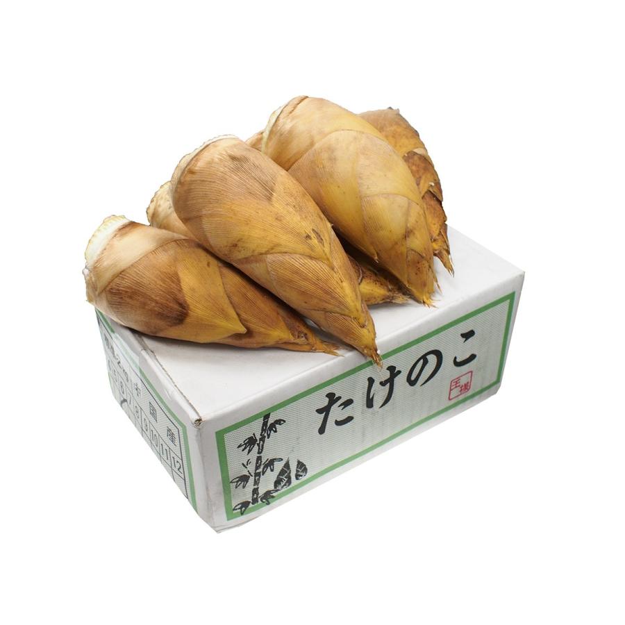 中国産 たけのこ 2kg（6〜8個入り） : 生鮮卸売市場 - 通販 - Yahoo