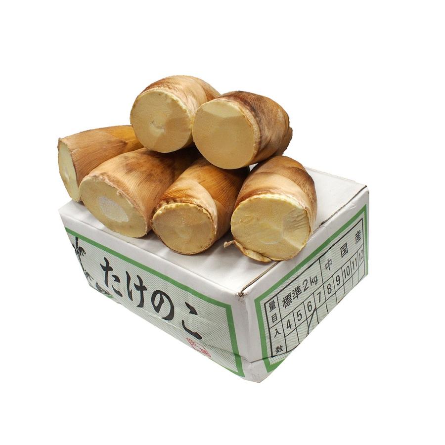 中国産 たけのこ 2kg（6〜8個入り） : 生鮮卸売市場 - 通販 - Yahoo
